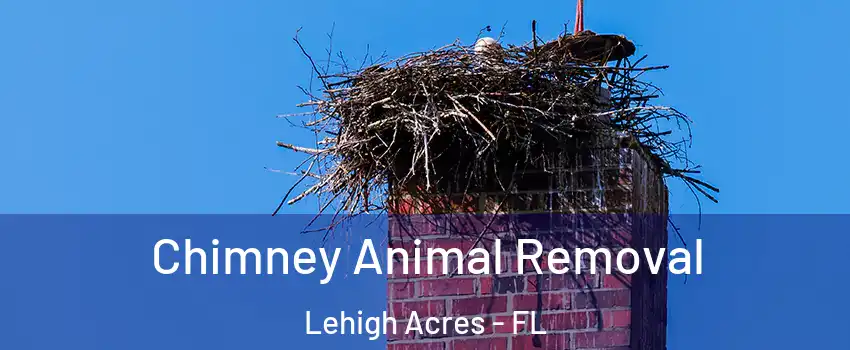  Chimney Animal Removal Lehigh Acres - FL