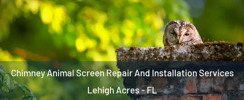  Chimney Animal Screen Repair And Installation Services Lehigh Acres - FL