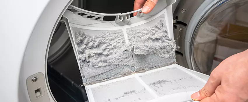 Best Dryer Lint Removal Company in Lehigh Acres, Florida