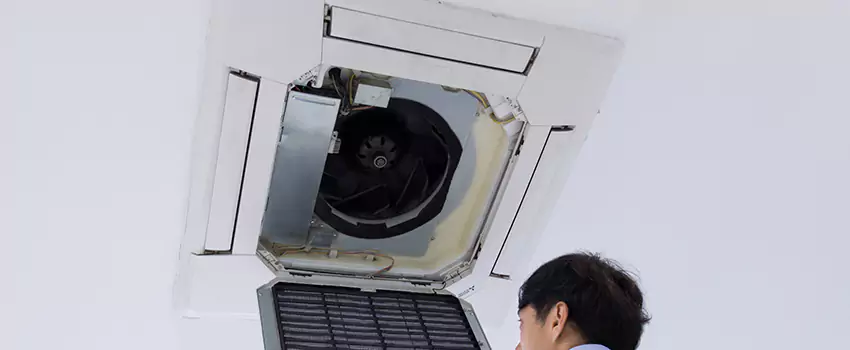 Benefits of Professional Air Duct Cleaning in Lehigh Acres, Florida